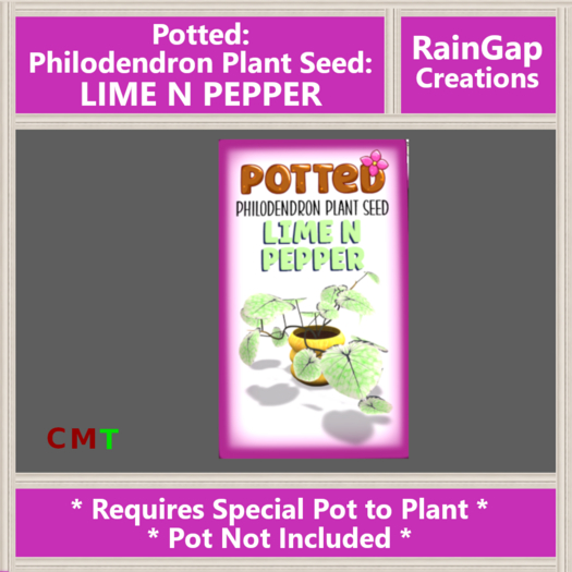 Potted: Philodendron Plant Seed: Lime N Pepper ACTUAL ITEM