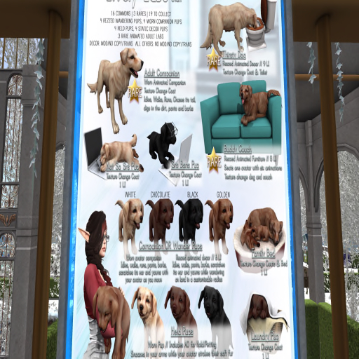 JIAN Lively Labs :: Srs Bsns Pup