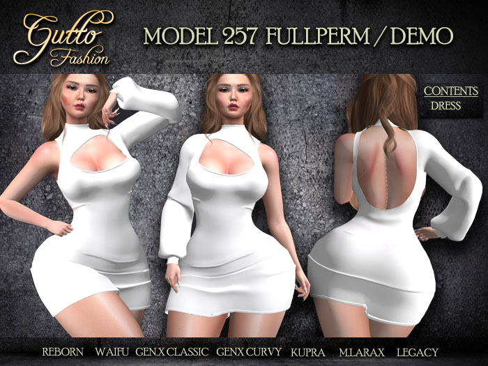 !GUTTO! MODEL 257  DEMO