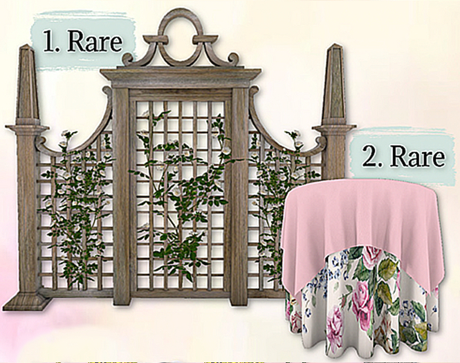 01{Why Not?} New Bloom Tea Time Trellis  RARE