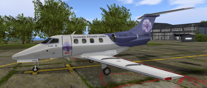 D 100 Flower Power Lines