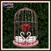 Valentine's - Swans in Love Bird Cage Wall