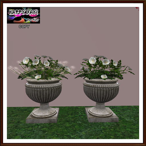 Valentines - 2 Urns with White Roses
