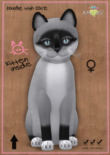 KittyCatS Box - Foxie - Salt & Pepper Mask