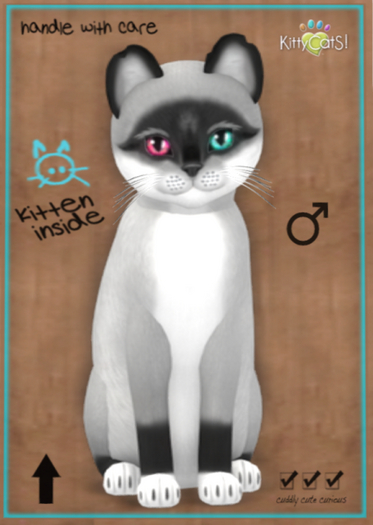 KittyCatS Box - Foxie - Salt & Pepper Mask