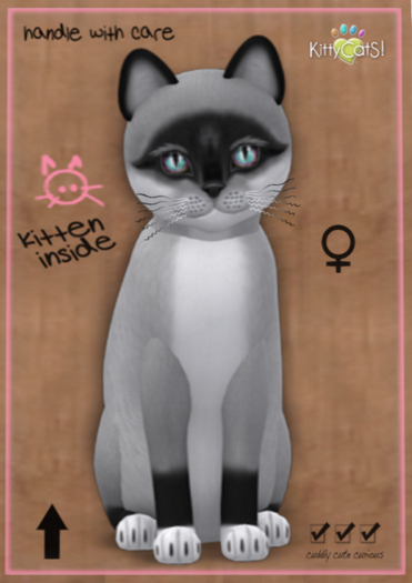 KittyCatS Box - Foxie - Salt & Pepper Mask