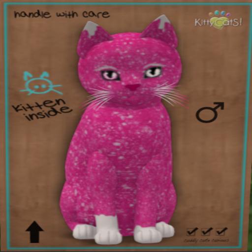KittyCatS Box - GumDrop Angel - HotPink Prince