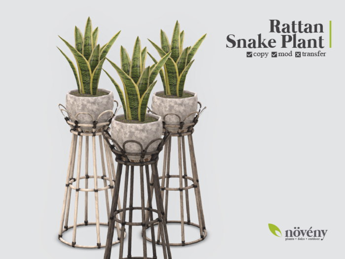 Noveny - Rattan Snake Plant - AddMe