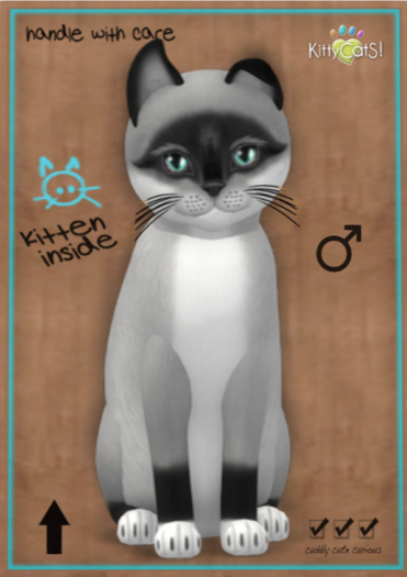 KittyCatS Box - Foxie - Salt & Pepper Mask