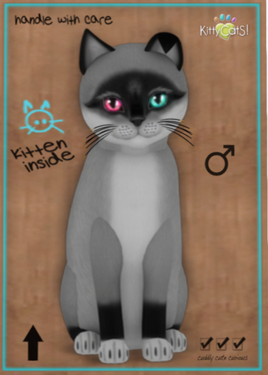 KittyCatS Box - Foxie - Salt & Pepper Mask