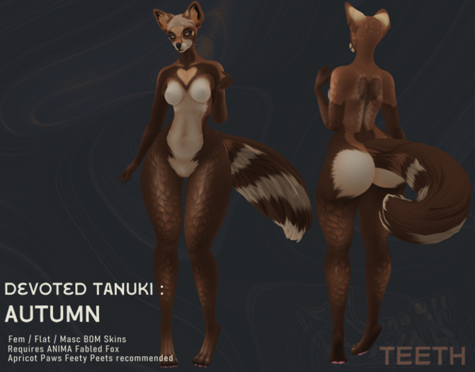 [T] // Devoted Tanuki : Autumn