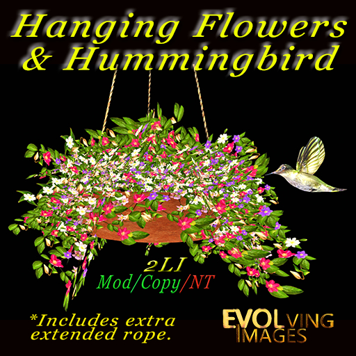 Hanging Flowers & Hummingbird