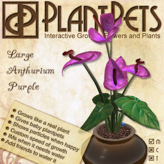 PlantPet Seed [Large Anthurium *Purple*]