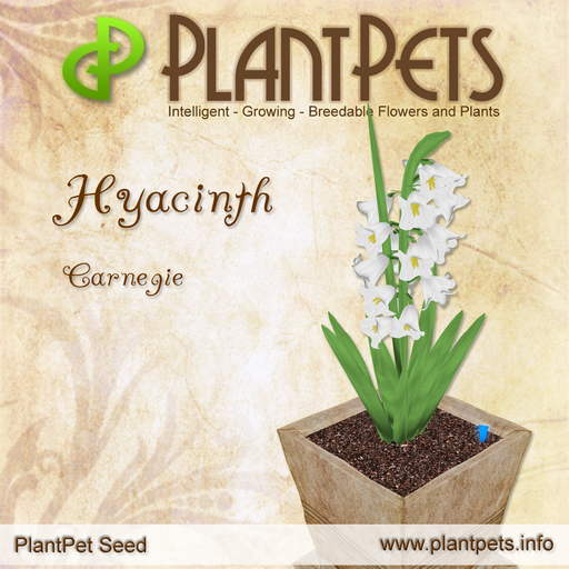 PlantPet Seed [Hyacinth *Carnegie*]