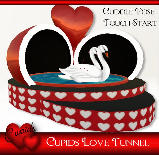 *CUPIDS* LOVE TUNNEL