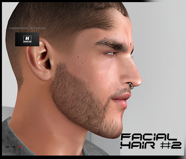 Facial Hair #2 by HorrorStand