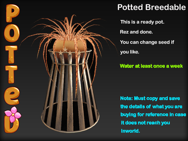 Potted ~ Wicker Spider Plant Pot - Orange