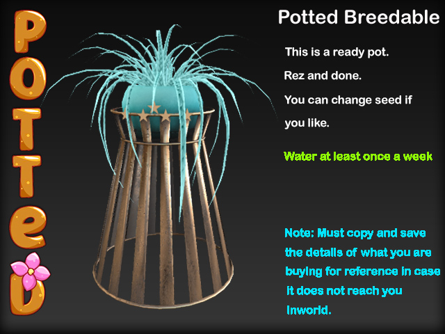 Potted ~ Wicker Spider Plant Pot - Teal