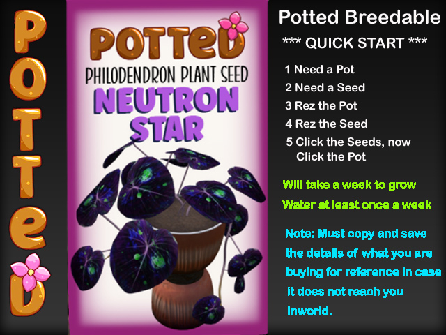 Potted: Philodendron Plant Seed: Neutron Star