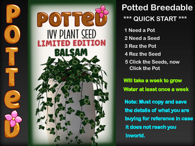 Potted: Starter Ivy Plant Seed: LE Balsam