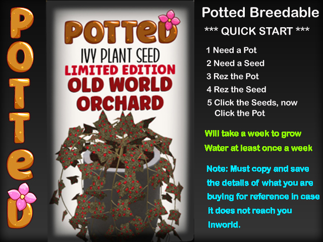 Potted: Starter Ivy Plant Seed: LE Old World Orchard