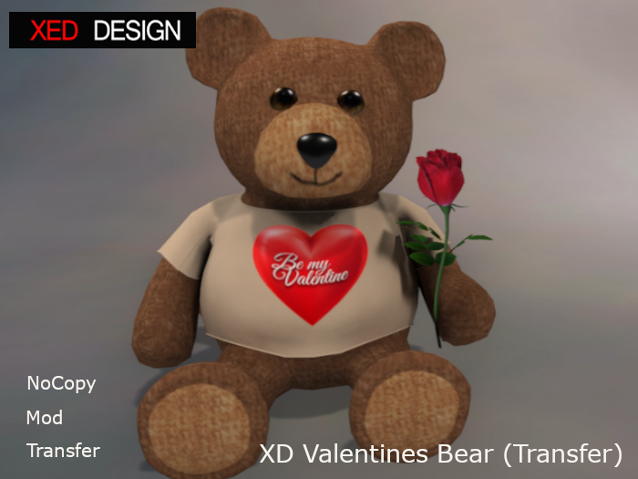 XD Valentines Bear T