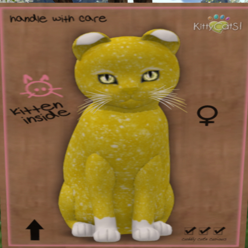 KittyCatS Box - GumDrop Angel - Sunshine Princess