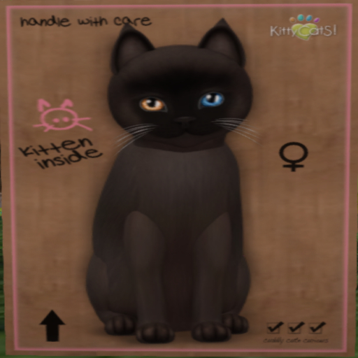 KittyCatS Box - Burmese - Sable