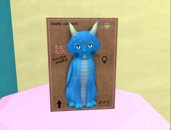 KittyCatS Box - New Born Kitten