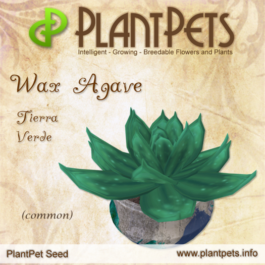 PlantPet Seed [Wax Agave *Tierra Verde*] (common)