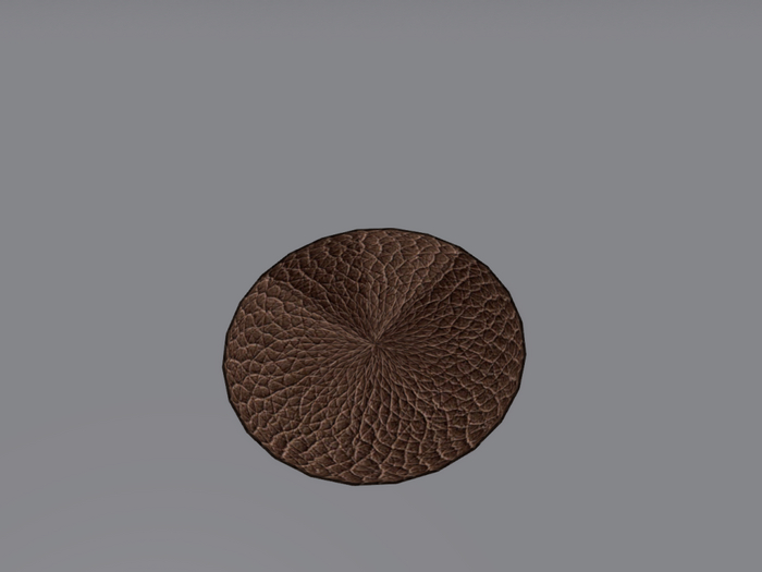 Brown Leather carpet