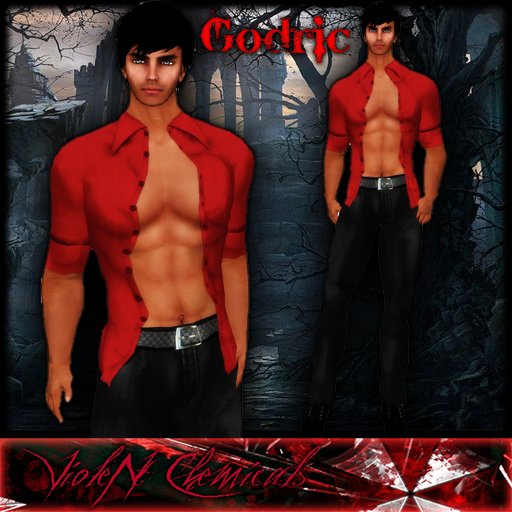 ..::V::.. *Godric*  