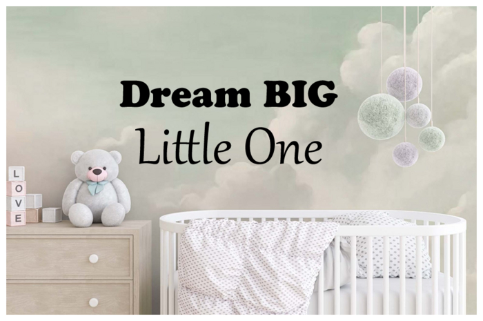 [Tots 'N' Toddlers] ~ Wall Decal "Dream BIG Little One"