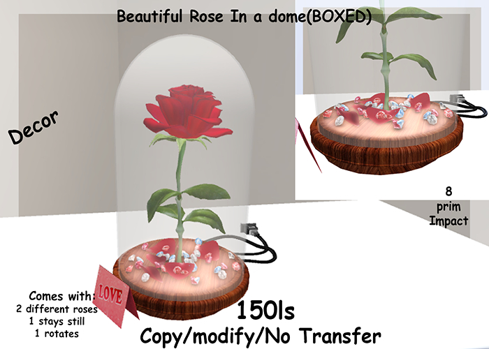 Beautiful Rose In a dome(BOXED)
