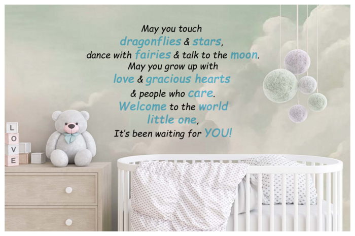 [Tots 'N' Toddlers] ~ Wall Decal "May you touch" (BLUE)