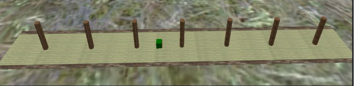 CE Slalom Track