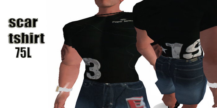 scarTshirt