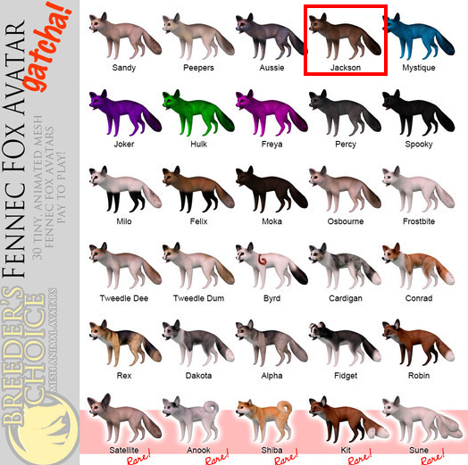 [BC] "Jackson" the Fennec Fox