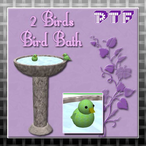 Bird Bath (2 birds)