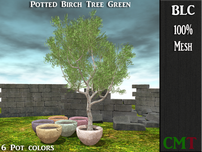 BLC  Potted Birch Tree - Green