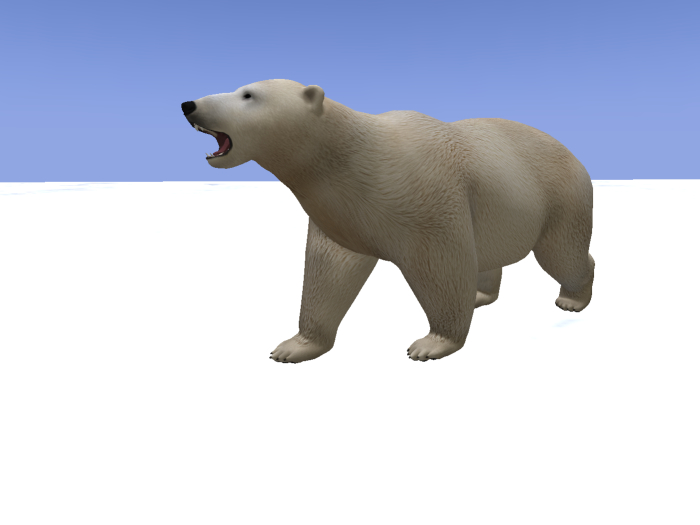polar bear 1