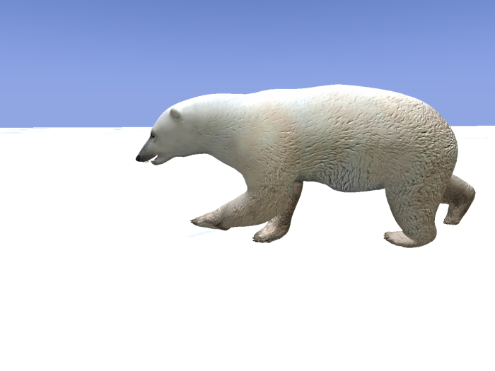 Polar bear 2