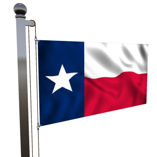 Texas Flag on Vertical Flag Pole