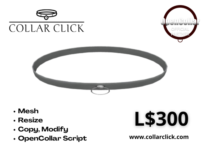 CollarClick v1.0 White Silver