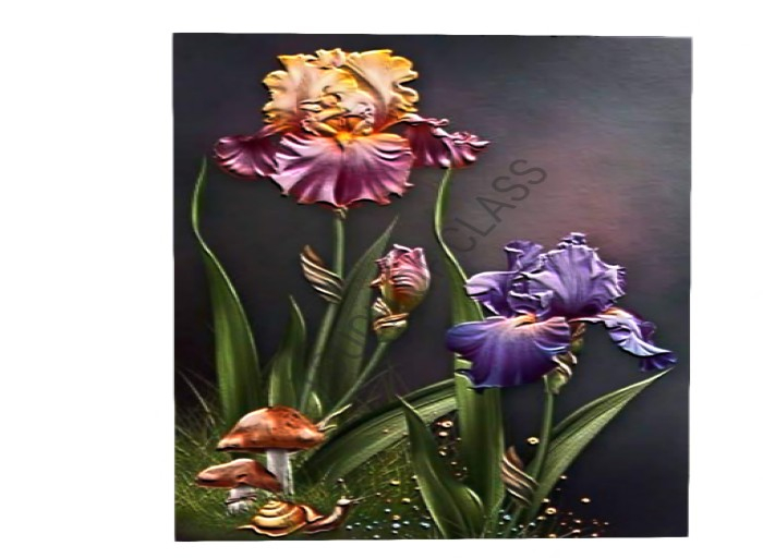 spring Iris