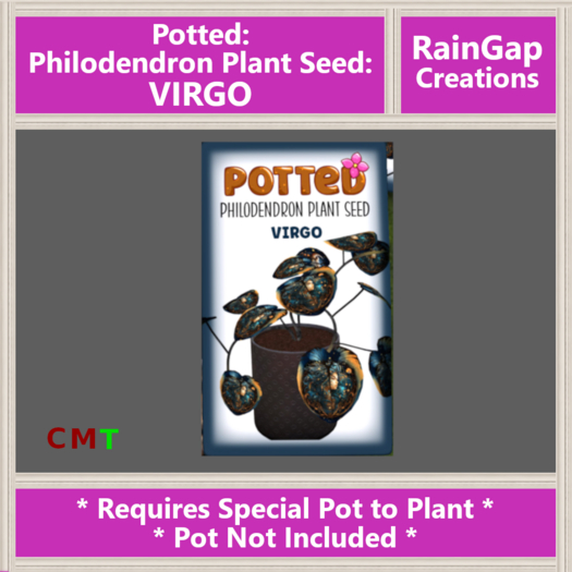 Potted: Philodendron Plant Seed: Virgo ACTUAL ITEM
