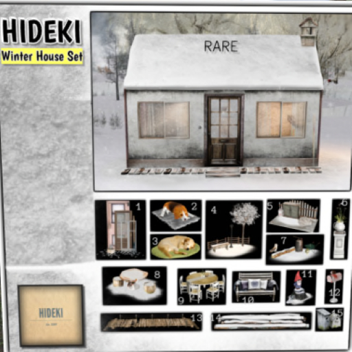 HIDEKI - Winter House : RARE