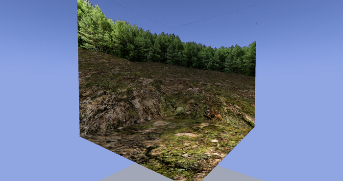Property Surround Scenery -Tree Line