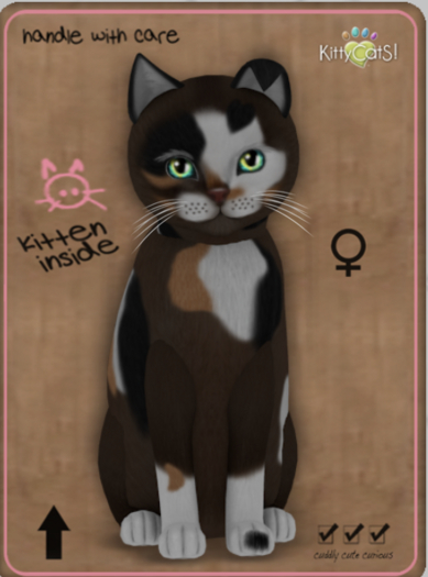 KittyCatS Box - Genesis - Patch II Megapuss Female
