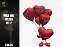 BMC5267 - WILL YOU MARRY ME ?